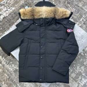 C.G WYNDHAM JACKET- BLACK